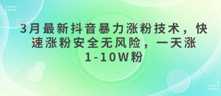 3月最新抖音暴力涨粉技术,快速涨粉安全无风险,一天涨1-10W粉-轻创终点站